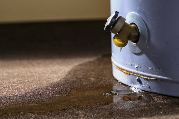  Spring Hill, KS Water damage restoration Pros