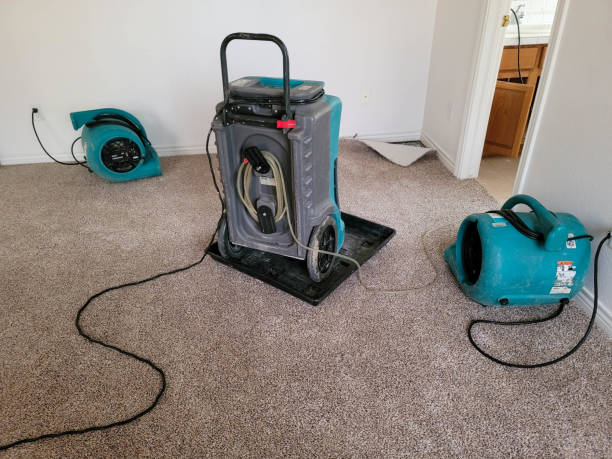 Best Commercial water damage restoration  in Spring Hill, KS
