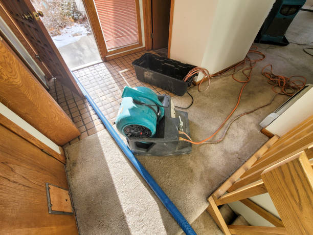 Best Flooded house restoration  in Spring Hill, KS
