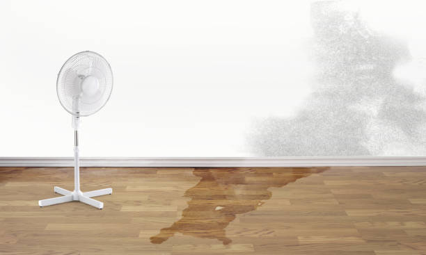 Best Sewage cleanup and water damage restoration  in Spring Hill, KS