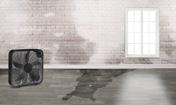 Best Local water damage restoration  in Spring Hill, KS