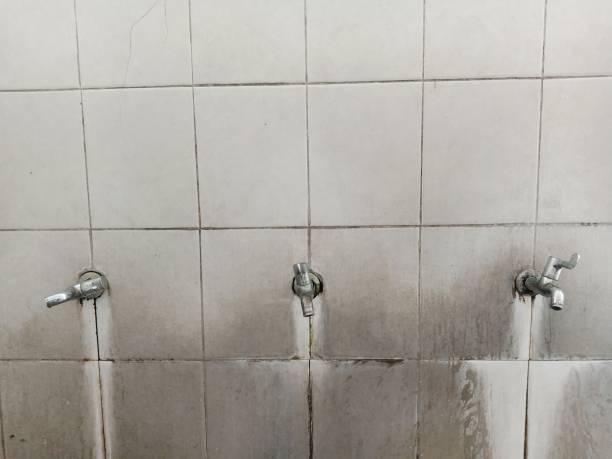 Best Emergency water damage restoration  in Spring Hill, KS